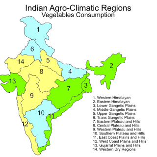 Indian agroclimatic zones – vegetable consumption