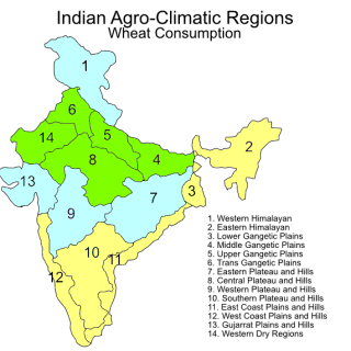 Indian agroclimatic zones – wheat consumption