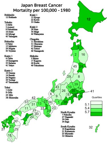Japan Mortality Breast Cancer 1980