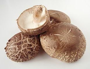 Mushrooms – Shiitake