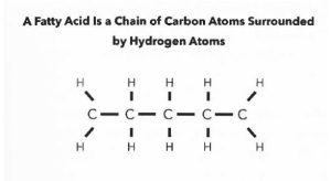 A fatty acid in a chain of carbon atoms surronded by hydrogen atoms, according to Teicholz
